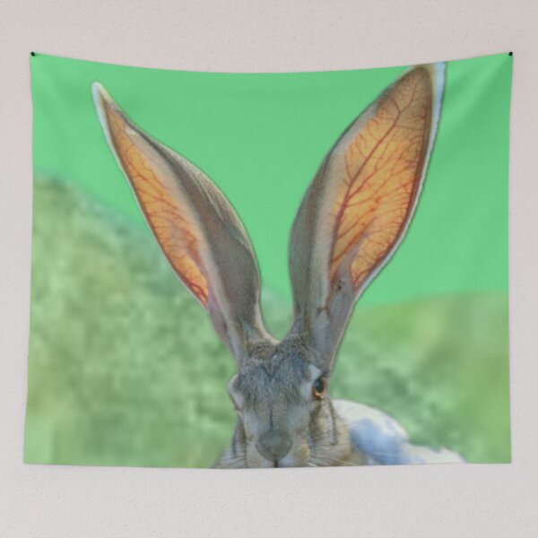 Item preview, Jackrabbit  designed and sold by ontological.