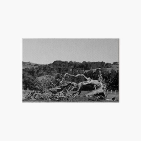 Uprooted Tree Art Board Print
