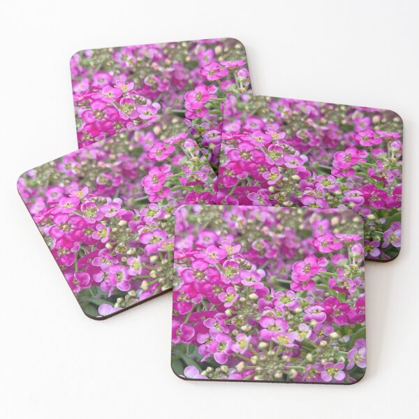 Item preview, Sweet Alyssum  designed and sold by Betsy Phillips.