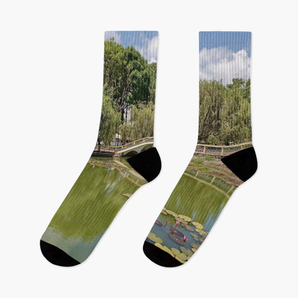 Item preview, Serene nature in a Vietnamese urban park designed and sold by franck380.