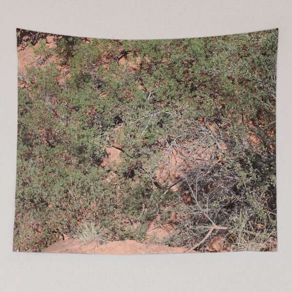 Item preview, Desert Brush 1 designed and sold by Logan McCarthy.