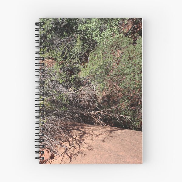 Item preview, Desert Brush 2 designed and sold by Logan McCarthy.