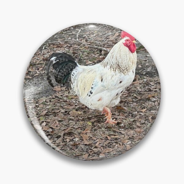 Item preview, Mr. Rooster struts his stuff! designed and sold by Pearls1.