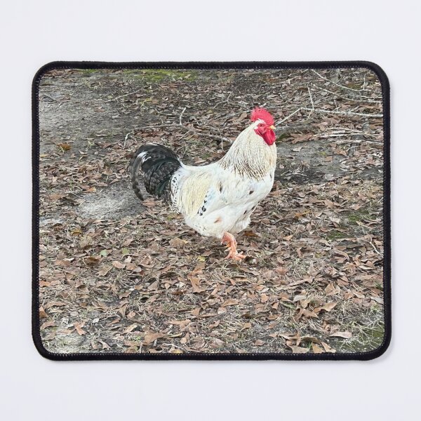 Item preview, Mr. Rooster struts his stuff! designed and sold by Pearls1.