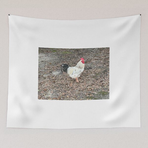 Item preview, Mr. Rooster struts his stuff! designed and sold by Pearls1.