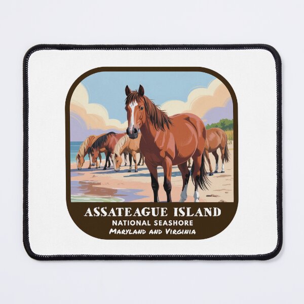 Item preview, Vintage Assateague Island National Seashore (Maryland and Virginia) designed and sold by RabbitK.