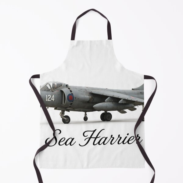 Item preview, Sea Harrier designed and sold by Skyframe Aviation.