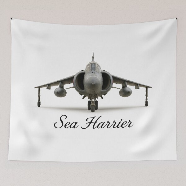 Item preview, Sea Harrier designed and sold by Skyframe Aviation.