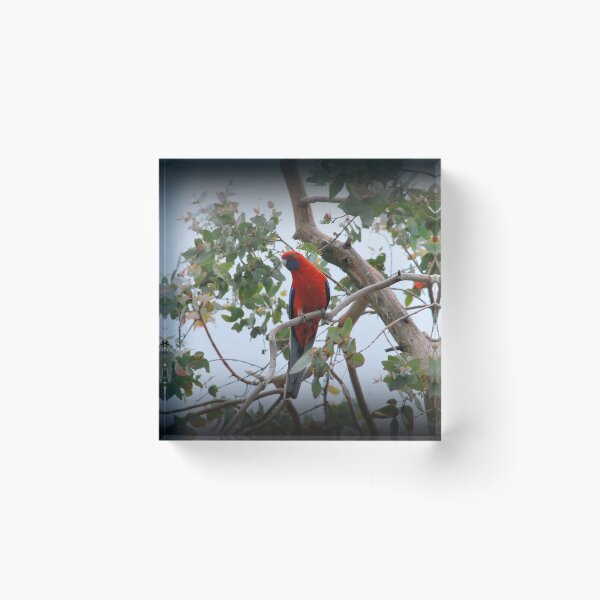Item preview, Pops Of Red designed and sold by Lorraine McCarthy.