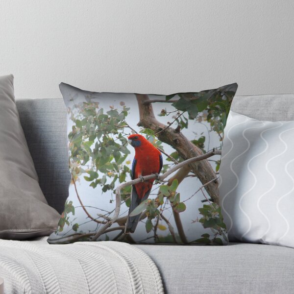 Item preview, Pops Of Red designed and sold by Lorraine McCarthy.