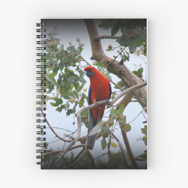 Item preview, Pops Of Red designed and sold by Lorraine McCarthy.