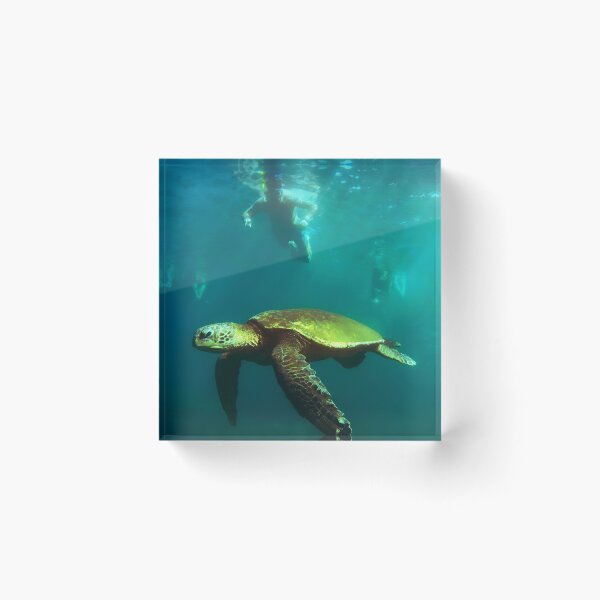 Item preview, Honu & Snorkeler  designed and sold by Scurvy Dawg Design.