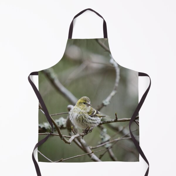 Item preview, The modest one. Eurasian siskin designed and sold by Jouko Lehto Photography.