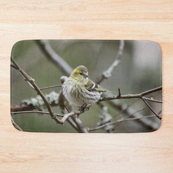 Item preview, The modest one. Eurasian siskin designed and sold by Jouko Lehto Photography.