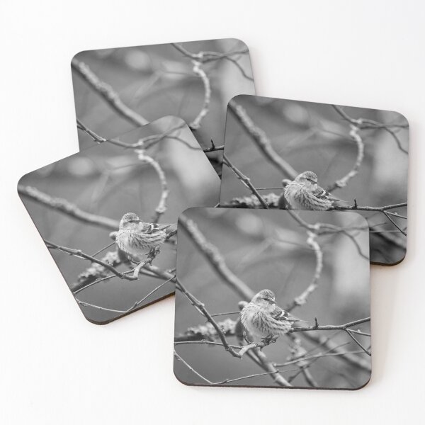 Item preview, The modest one. Eurasian siskin bw designed and sold by Jouko Lehto Photography.
