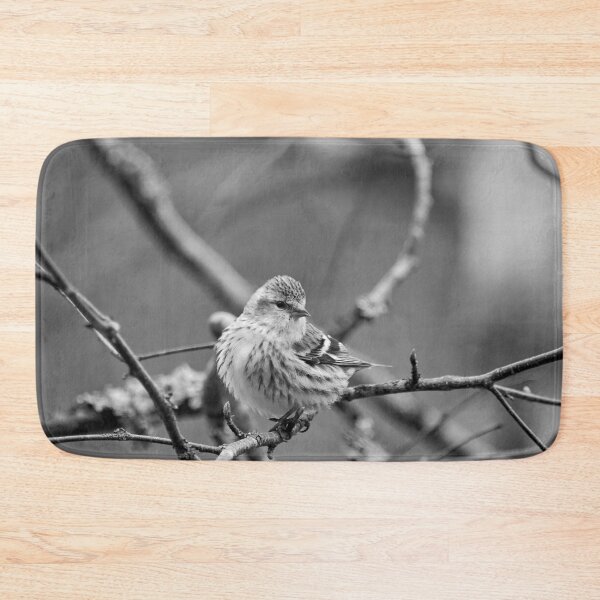 Item preview, The modest one. Eurasian siskin bw designed and sold by Jouko Lehto Photography.