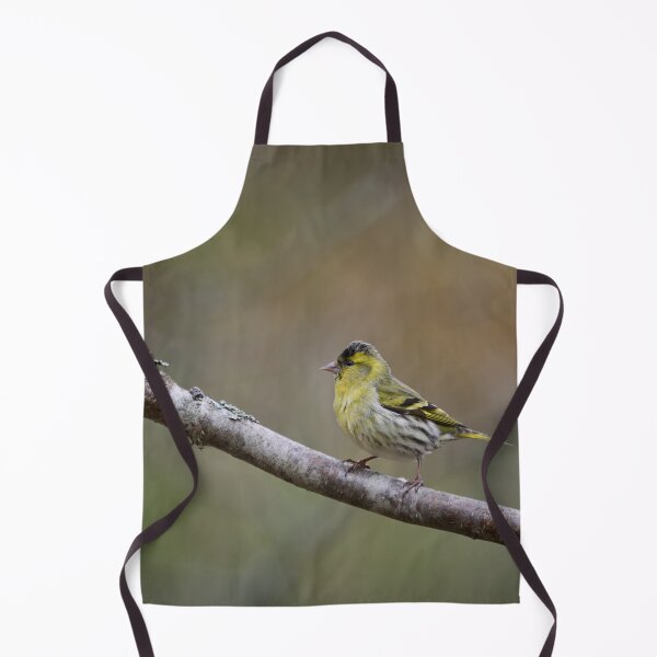 Item preview, Quick pose. Eurasian siskin designed and sold by Jouko Lehto Photography.
