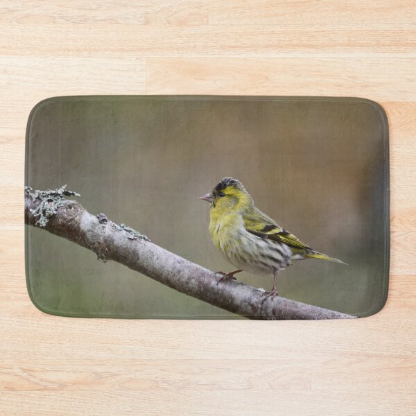 Item preview, Quick pose. Eurasian siskin designed and sold by Jouko Lehto Photography.