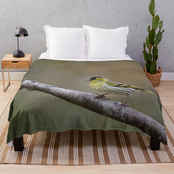 Item preview, Quick pose. Eurasian siskin designed and sold by Jouko Lehto Photography.