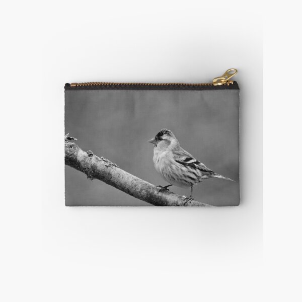 Item preview, Quick pose. Eurasian siskin bw designed and sold by Jouko Lehto Photography.