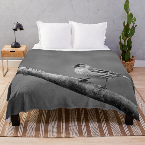 Item preview, Quick pose. Eurasian siskin bw designed and sold by Jouko Lehto Photography.
