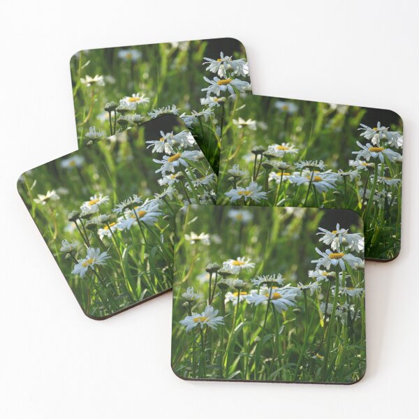 Item preview, Ox Eye Daisy Summer Meadow Wildflowers Leucanthemum vulgare Dog Daisy designed and sold by Tezoodle Art.