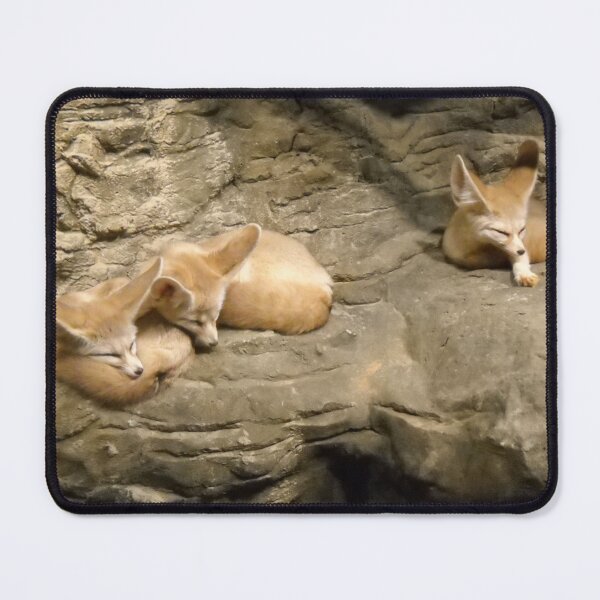 Item preview, Fennec Fox Naptime designed and sold by TheRealmsBeyond.
