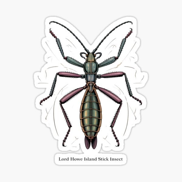 Item preview, Lord Howe Island Stick Insect designed and sold by GemiGarp.