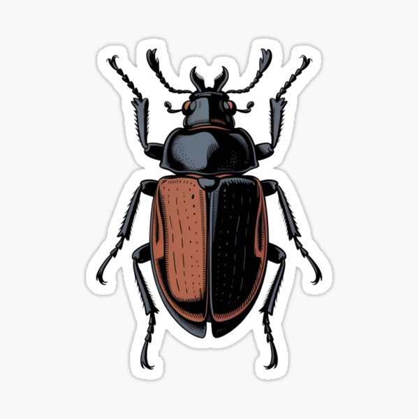 Item preview, American Burying Beetle designed and sold by GemiGarp.
