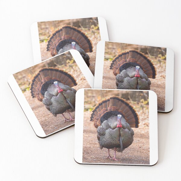 Item preview, Eastern male Wild Turkey Tom designed and sold by James Cumming.