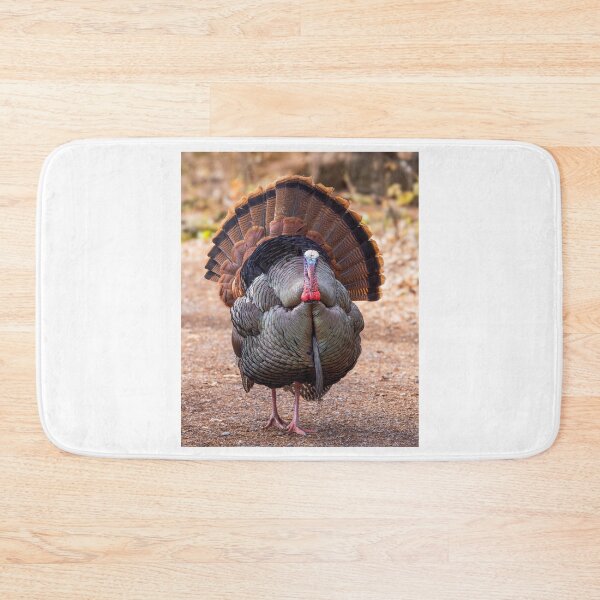 Item preview, Eastern male Wild Turkey Tom designed and sold by James Cumming.