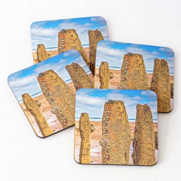 Item preview, Barnacles And Limpets On Sandsend Groynes, Yorkshire, England designed and sold by Paul Thompson Photography.