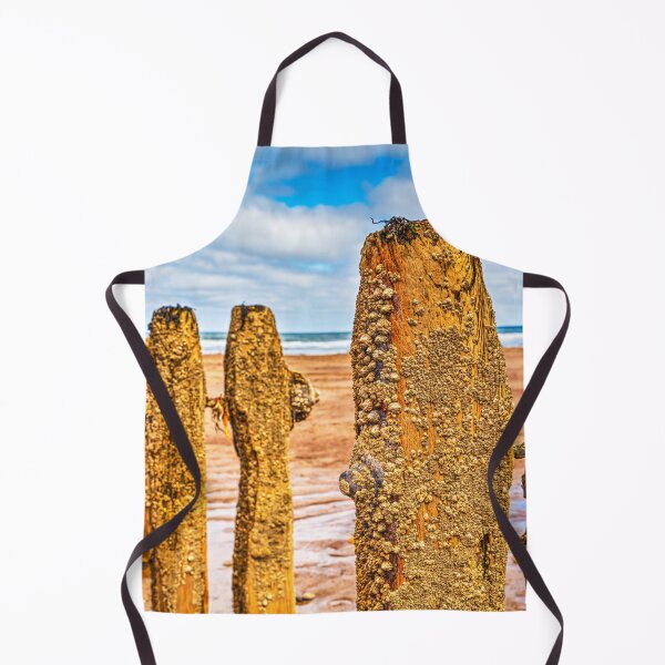 Item preview, Barnacles And Limpets On Sandsend Groynes, Yorkshire, England designed and sold by Paul Thompson Photography.