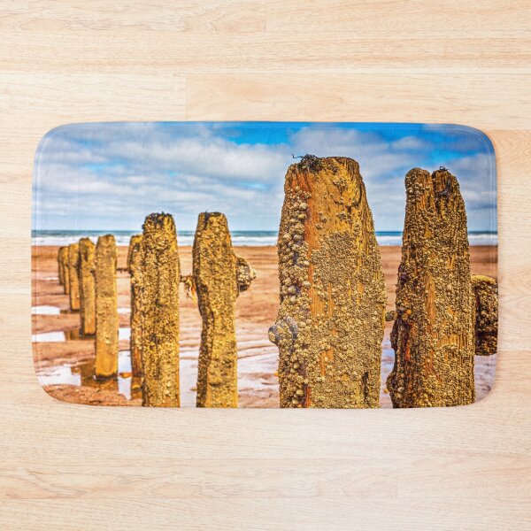 Item preview, Barnacles And Limpets On Sandsend Groynes, Yorkshire, England designed and sold by Paul Thompson Photography.