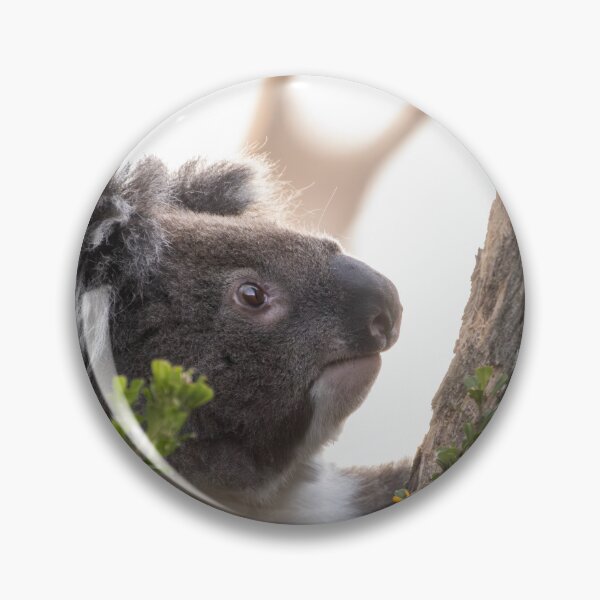 Item preview, Koala Climbing Gum Tree designed and sold by Images by Chris de Blank.