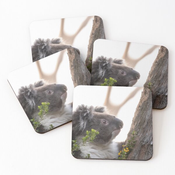 Item preview, Koala Climbing Gum Tree designed and sold by Images by Chris de Blank.