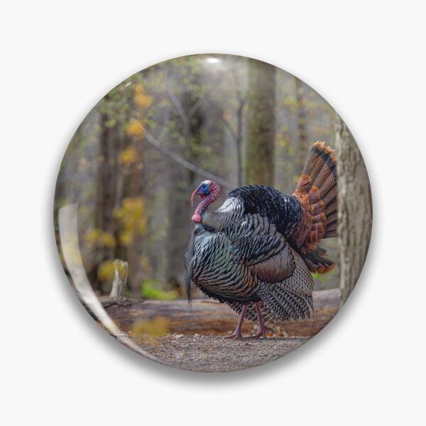 Item preview, Eastern male Wild Turkey tom designed and sold by James Cumming.
