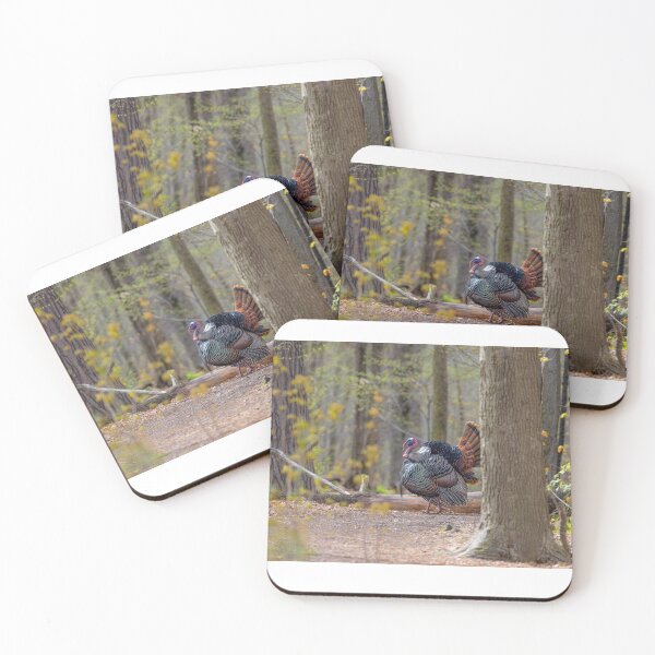 Item preview, Eastern male Wild Turkey tom designed and sold by James Cumming.