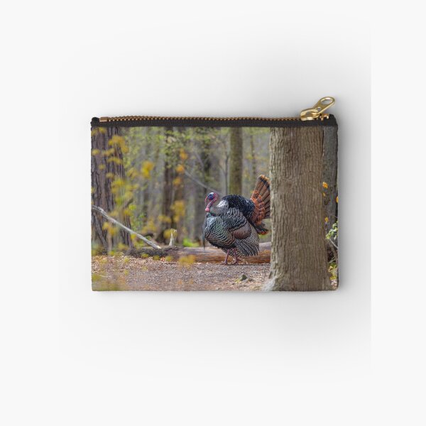 Item preview, Eastern male Wild Turkey tom designed and sold by James Cumming.