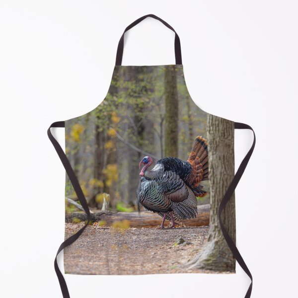 Item preview, Eastern male Wild Turkey tom designed and sold by James Cumming.