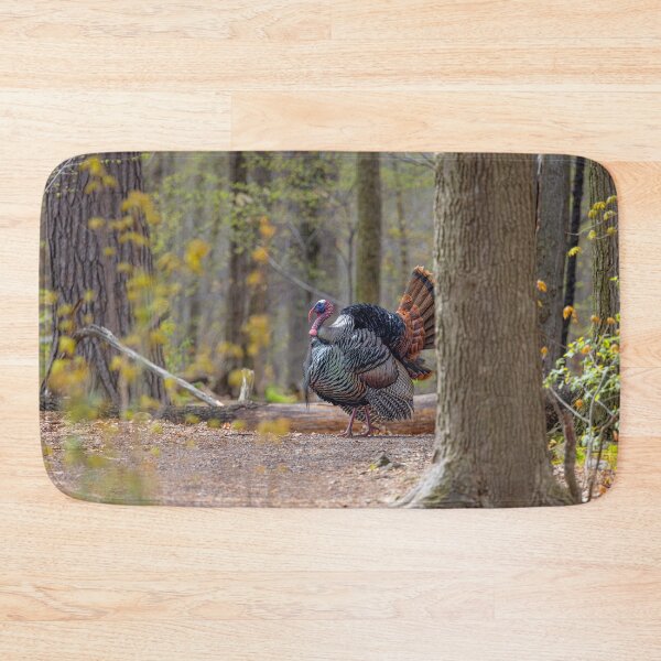 Item preview, Eastern male Wild Turkey tom designed and sold by James Cumming.