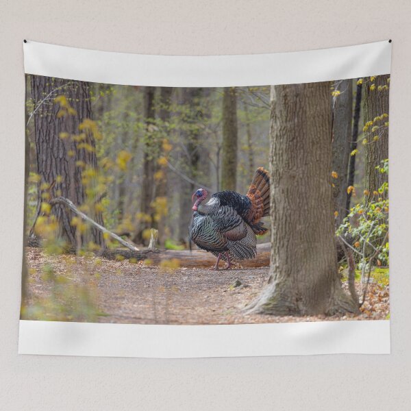 Item preview, Eastern male Wild Turkey tom designed and sold by James Cumming.