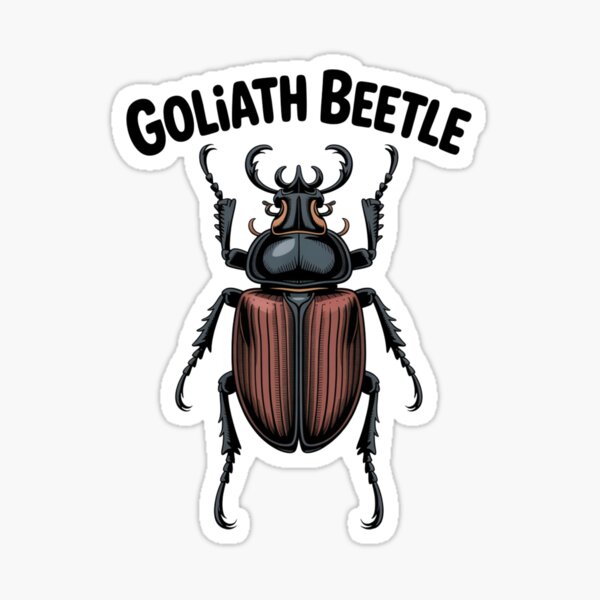 Item preview, Goliath Beetle — Congo designed and sold by GemiGarp.