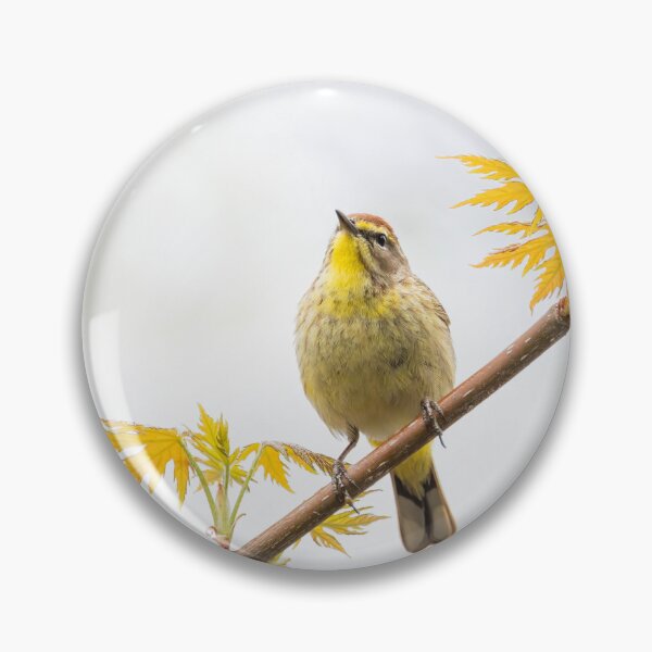 Item preview, Palm Warbler in Spring designed and sold by James Cumming.