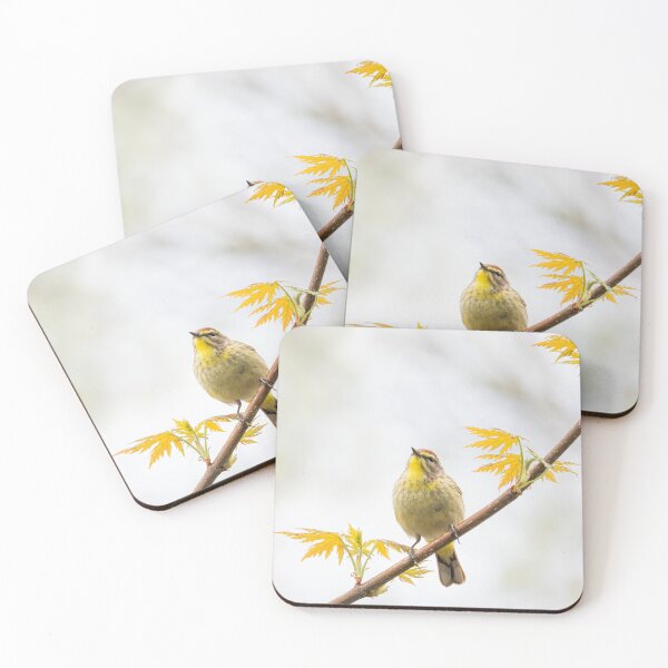 Item preview, Palm Warbler in Spring designed and sold by James Cumming.