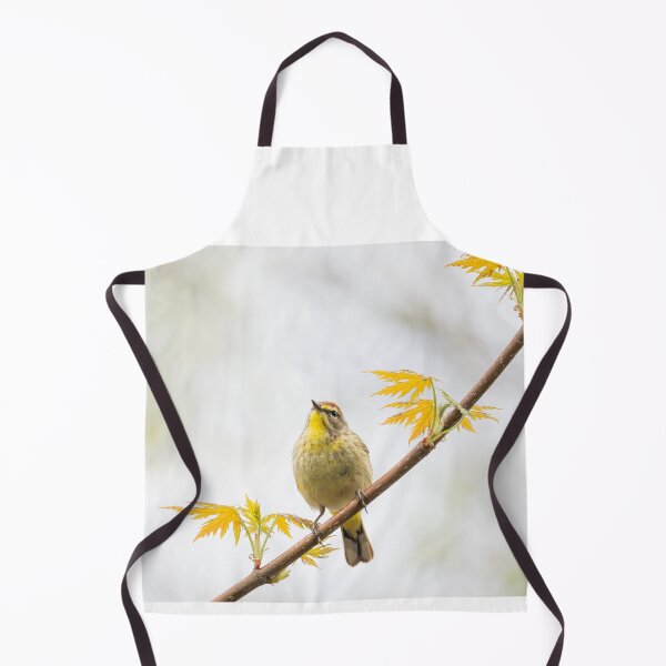 Item preview, Palm Warbler in Spring designed and sold by James Cumming.