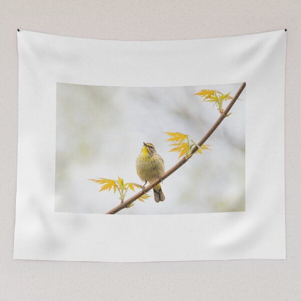Item preview, Palm Warbler in Spring designed and sold by James Cumming.