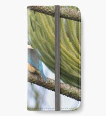 Kingfisher in the Norfolk Pine iPhone Wallet/Case/Skin