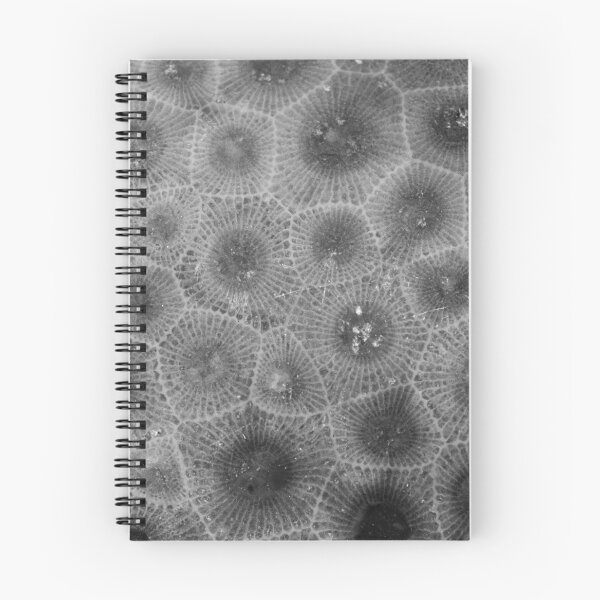 Item preview, Petoskey Stone Texture designed and sold by DanaAndTheBooks.