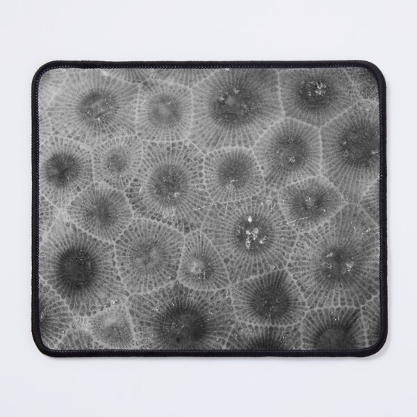 Item preview, Petoskey Stone Texture designed and sold by DanaAndTheBooks.